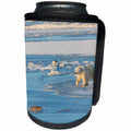 3dRose Danita Delimont - Bears - Polar Bear walking a frozen landscape, Churchill, Manitoba, Canada - Can Cooler Bottle Wrap (cc_257509)