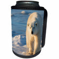 3dRose Danita Delimont - Bears - Polar Bear wanders along the ice, Churchill, Manitoba, Canada - Can Cooler Bottle Wrap (cc_257513)