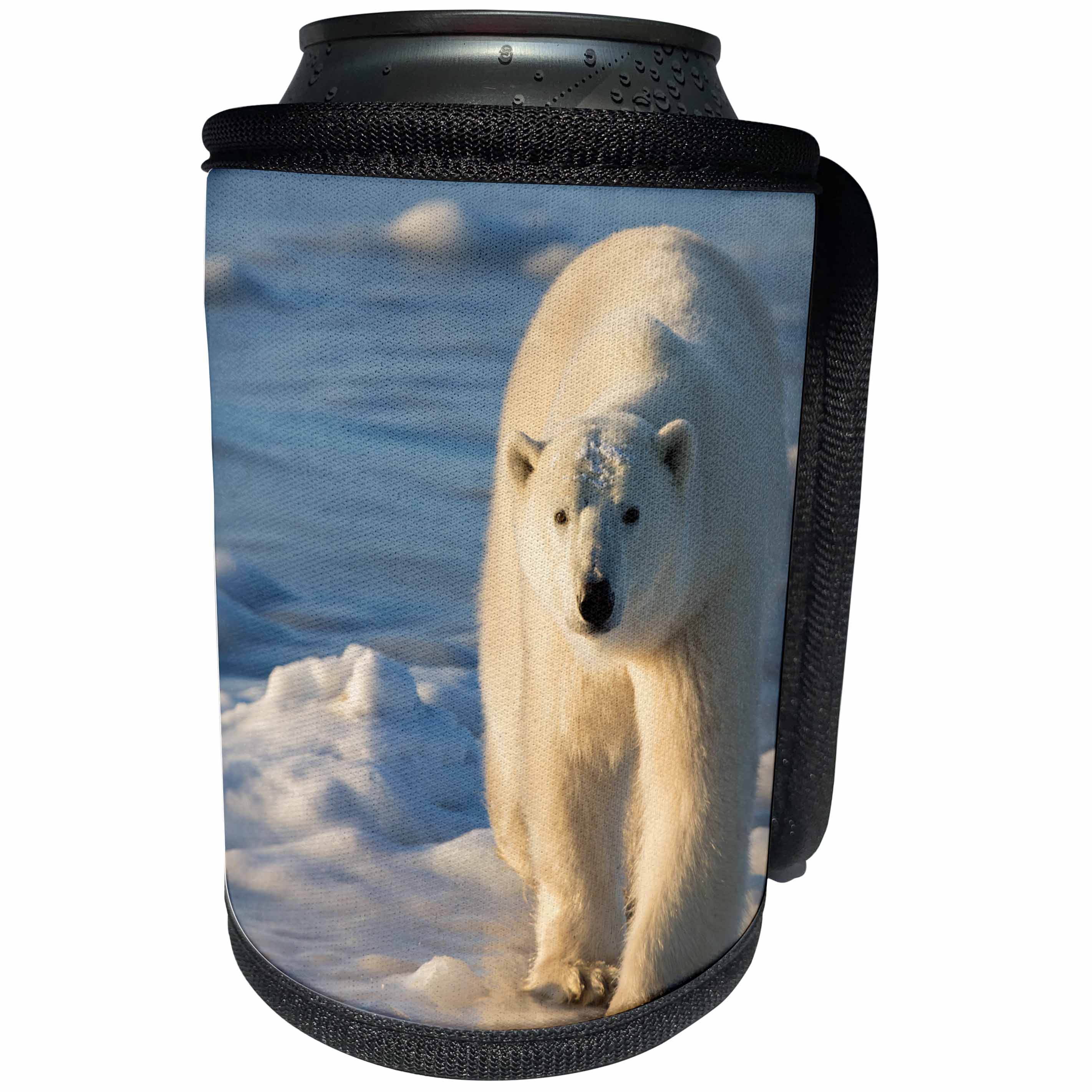 3dRose Danita Delimont - Bears - Polar Bear wanders along the ice, Churchill, Manitoba, Canada - Can Cooler Bottle Wrap (cc_257513)