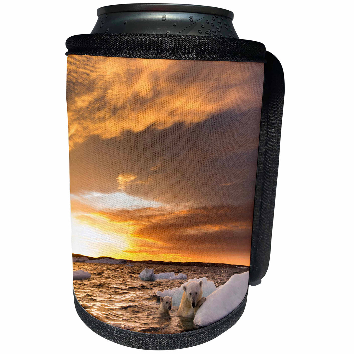 3dRose Danita Delimont - Bears - Canada, Repulse Bay, Polar Bear and cub on sea ice at sunset. - Can Cooler Bottle Wrap (cc_257543)