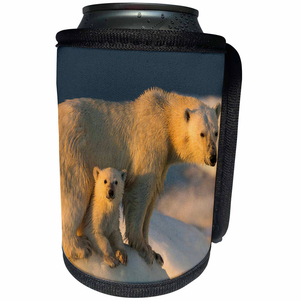 3dRose Danita Delimont - Bears - Canada, Repulse Bay, Polar Bear Cub beneath mother on sea ice. - Can Cooler Bottle Wrap (cc_257547)