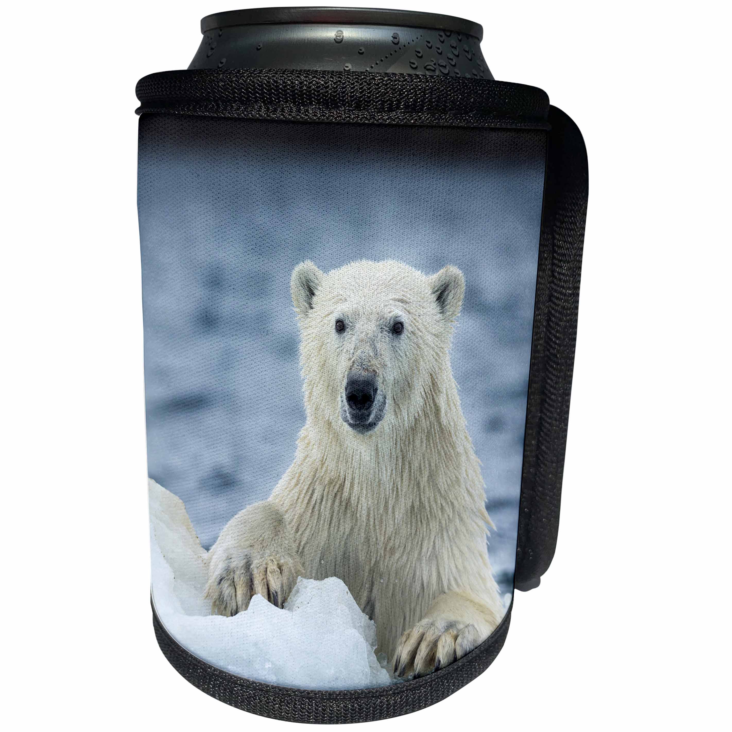 3dRose Danita Delimont - Bears - Canada, Nunavut Territory, Repulse Bay, Polar Bear on sea ice. - Can Cooler Bottle Wrap (cc_257550)