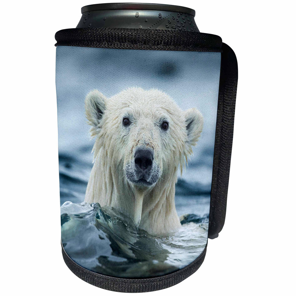 3dRose Danita Delimont - Bears - Canada, Repulse Bay, Polar Bear pokes its head above water. - Can Cooler Bottle Wrap (cc_257551)