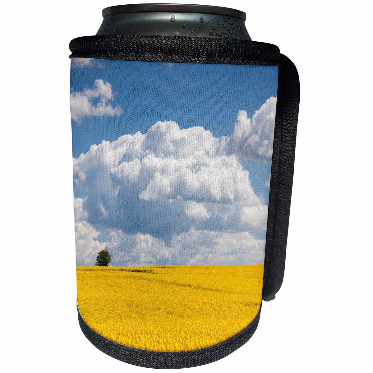 3dRose Danita Delimont - Agriculture - Denmark, Jutland, Odum, blooming rapeseed field in spring - Can Cooler Bottle Wrap (cc_257580)