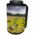 3dRose Danita Delimont - Denmark - Denmark, Jutland, Aalborg-Lindholm, Lindholm Hoje Viking Burial Ground - Can Cooler Bottle Wrap (cc_257583)
