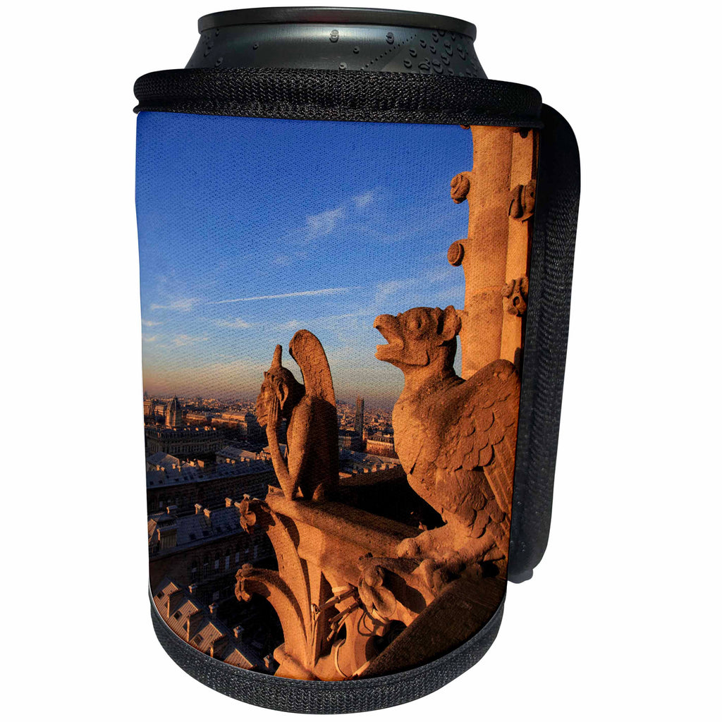 3dRose Danita Delimont - Cities - Gargoyles on Notre Dame look out over the city, Paris, France - Can Cooler Bottle Wrap (cc_257623)