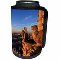 3dRose Danita Delimont - Cities - Gargoyles on Notre Dame look out over the city, Paris, France - Can Cooler Bottle Wrap (cc_257623)