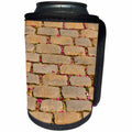 3dRose Danita Delimont - Patterns - Cobblestone walkway, Pere Lachaise Cemetery, Paris, France - Can Cooler Bottle Wrap (cc_257630)
