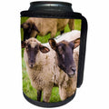 3dRose Danita Delimont - Sheep - Normandy sheep, Mont Saint-Michel, Normandy, France - Can Cooler Bottle Wrap (cc_257638)