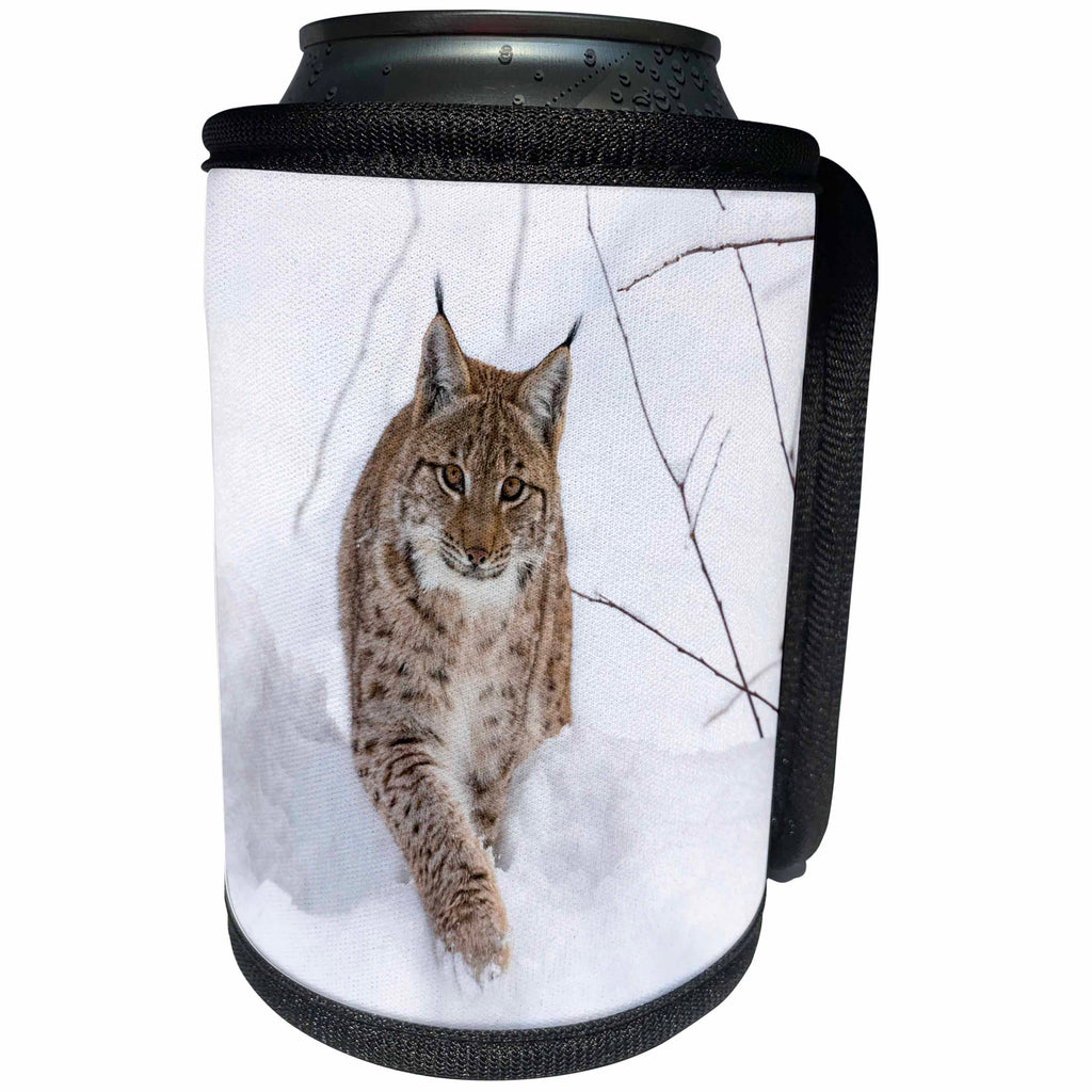 3dRose Danita Delimont - Lynx - Eurasian lynx walking in snow, Bavarian Forest NP, Bavaria, Germany. - Can Cooler Bottle Wrap (cc_257646)