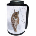 3dRose Danita Delimont - Lynx - Eurasian lynx walking in snow, Bavarian Forest NP, Bavaria, Germany. - Can Cooler Bottle Wrap (cc_257646)