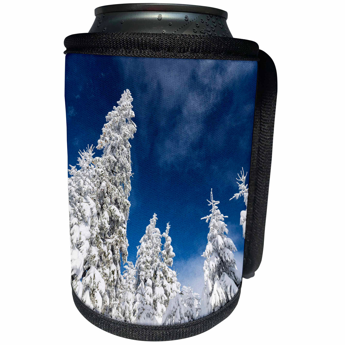 3dRose Danita Delimont - Trees - Snowy forest in the NP Bavarian Forest in winter. Bavaria, Germany - Can Cooler Bottle Wrap (cc_257649)