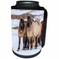 3dRose Danita Delimont - Horses - Icelandic horses in winter near Hofn, Iceland - Can Cooler Bottle Wrap (cc_257668)