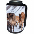 3dRose Danita Delimont - Horses - Icelandic horses in winter pasture near Hofn, Iceland - Can Cooler Bottle Wrap (cc_257669)