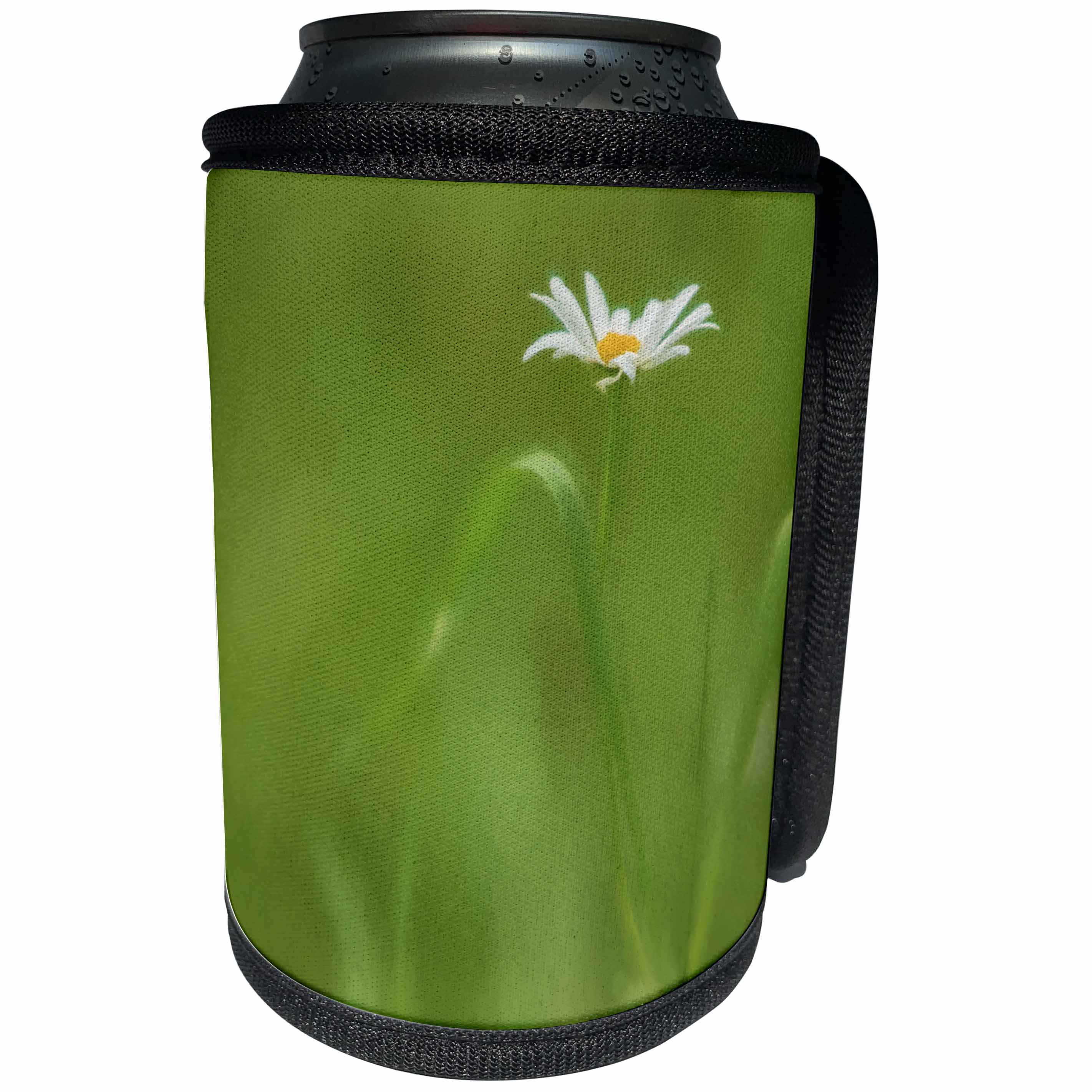3dRose Danita Delimont - Flowers - Europe, Ireland. Daisy and leaves. - Can Cooler Bottle Wrap (cc_257703)