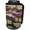 3dRose Danita Delimont - Pigs - Italy, Sardinia, Gavoi. Group of pigs playing in the mud at a farm. - Can Cooler Bottle Wrap (cc_257706)