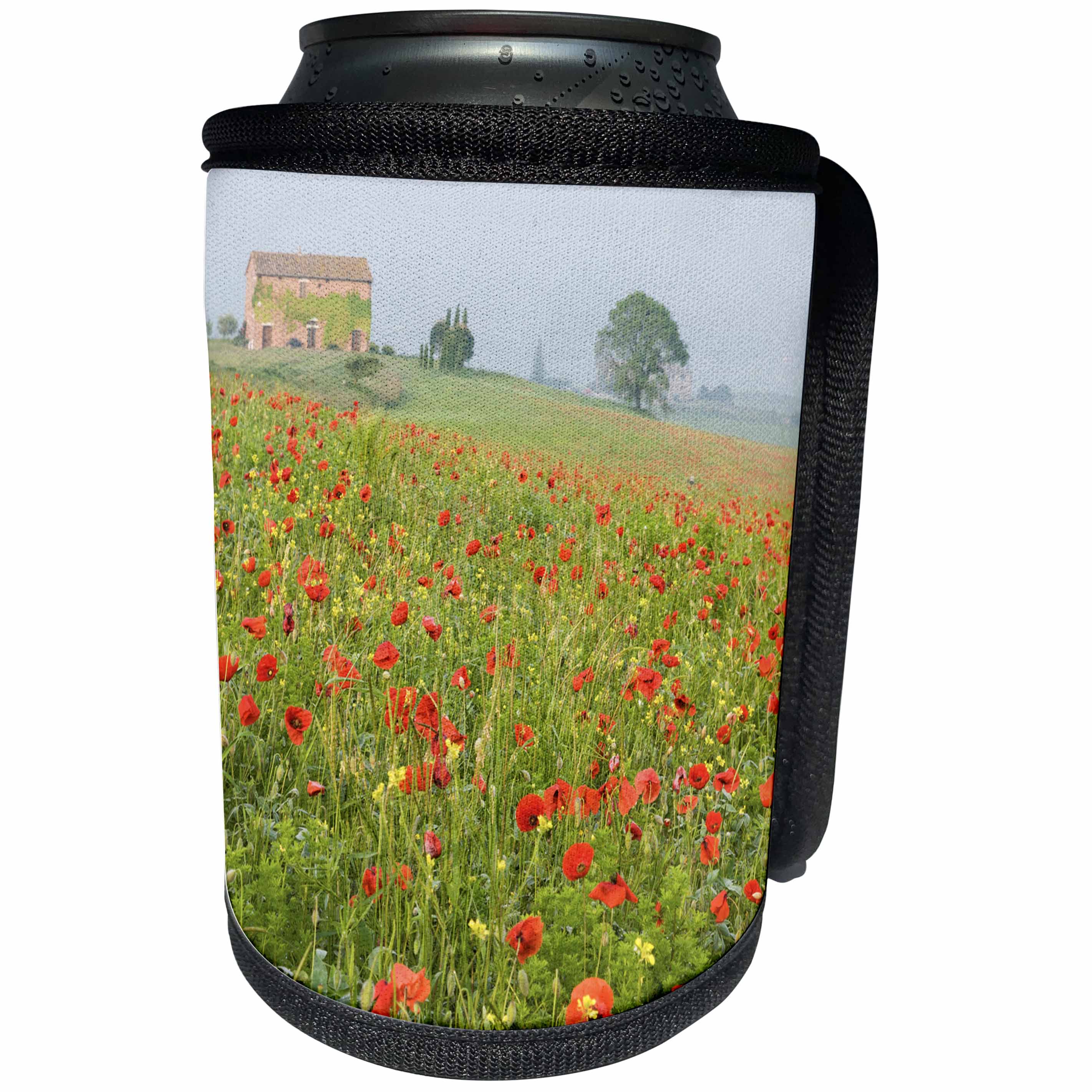 3dRose Danita Delimont - Italy - Italy, Tuscany. A foggy morning amidst a field of poppies. - Can Cooler Bottle Wrap (cc_257711)