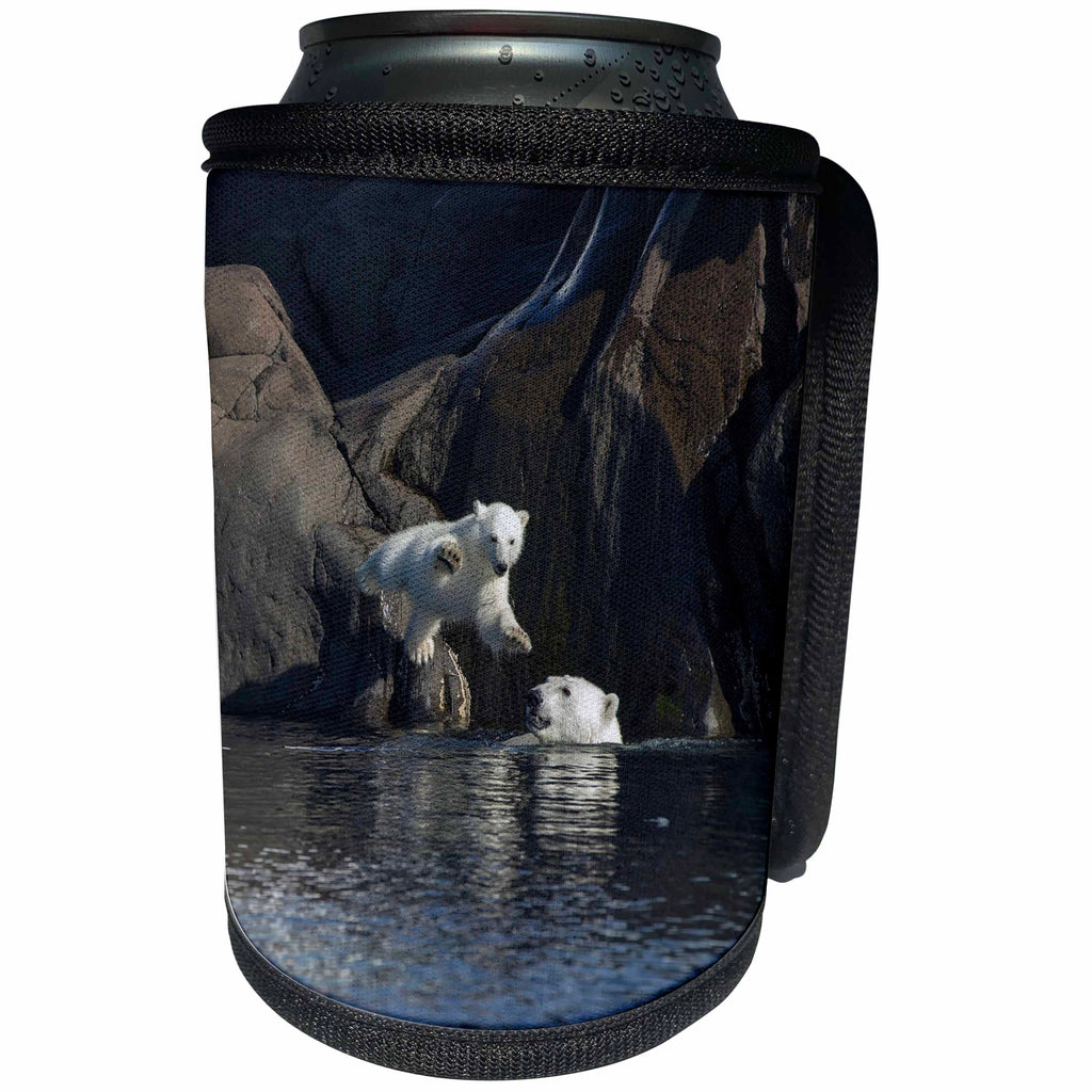 3dRose Danita Delimont - Bears - Norway, Svalbard, polar bear and cub jumping into the ocean. - Can Cooler Bottle Wrap (cc_257855)