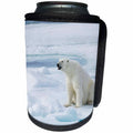 3dRose Danita Delimont - Bears - Norway, Svalbard, Spitsbergen, Female polar bear sitting on ice. - Can Cooler Bottle Wrap (cc_257861)