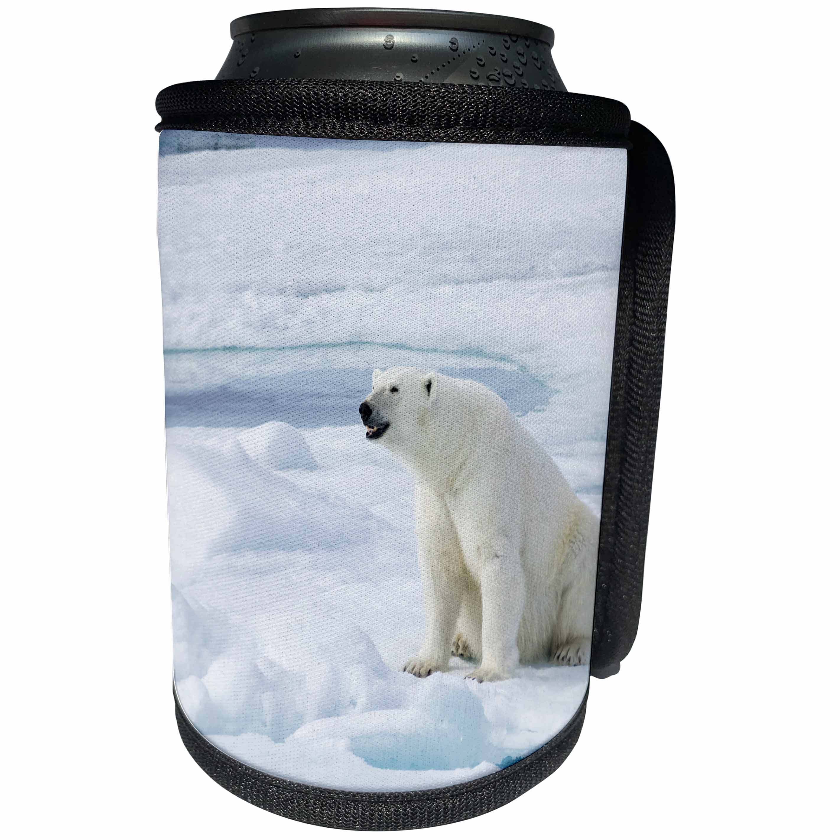 3dRose Danita Delimont - Bears - Norway, Svalbard, Spitsbergen, Female polar bear sitting on ice. - Can Cooler Bottle Wrap (cc_257861)