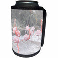 3dRose Patricia Sanders Creations - Flamingo Art - Can Cooler Bottle Wrap (cc_25787)