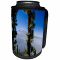 3dRose Danita Delimont - Mountain - Spain, Canary Islands, Valle de la Orotava, Pico del Teide volcano. - Can Cooler Bottle Wrap (cc_257878)