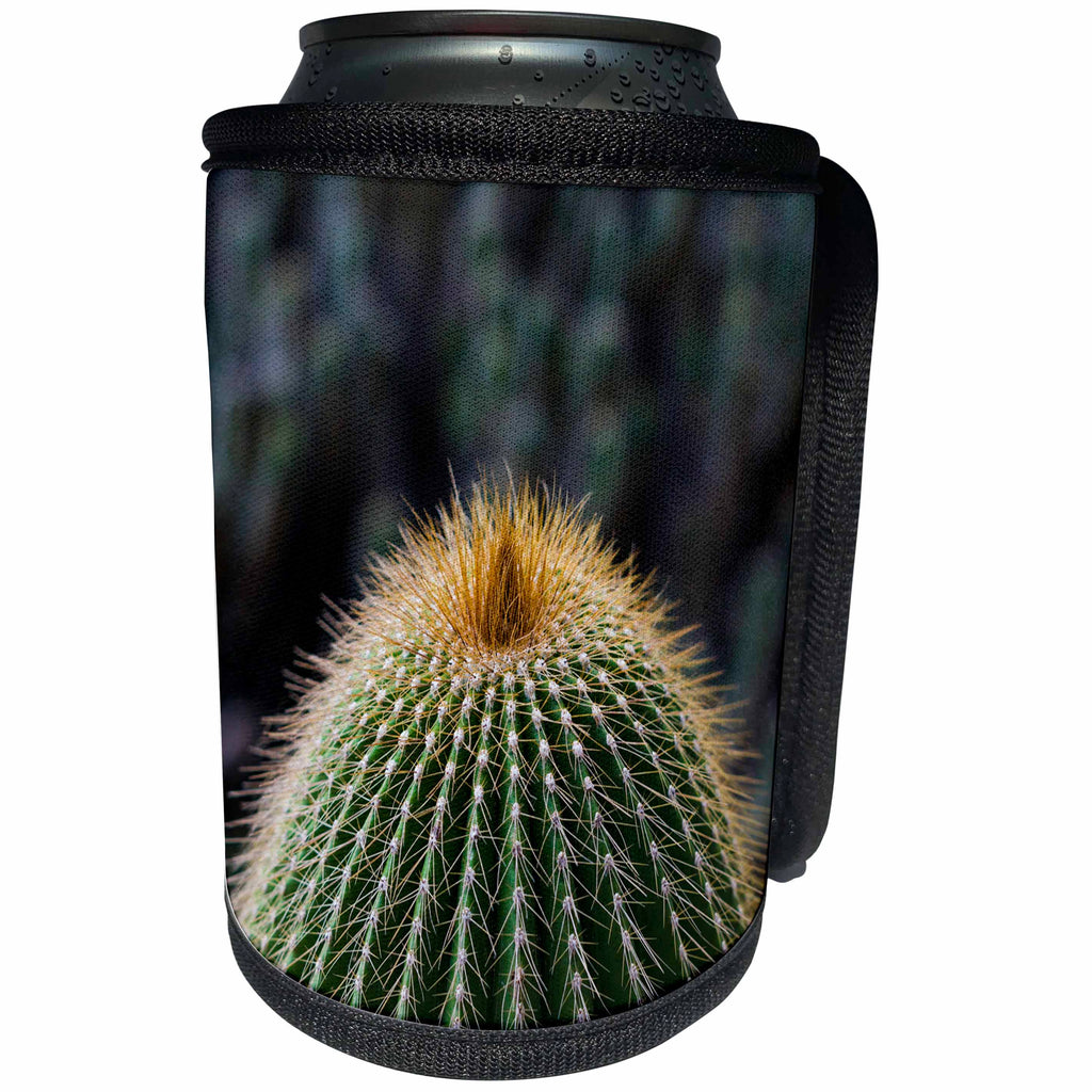3dRose Danita Delimont - Cactus - Spain, Canary Islands, La Gomera, close-up of cactus. - Can Cooler Bottle Wrap (cc_257881)