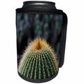 3dRose Danita Delimont - Cactus - Spain, Canary Islands, La Gomera, close-up of cactus. - Can Cooler Bottle Wrap (cc_257881)