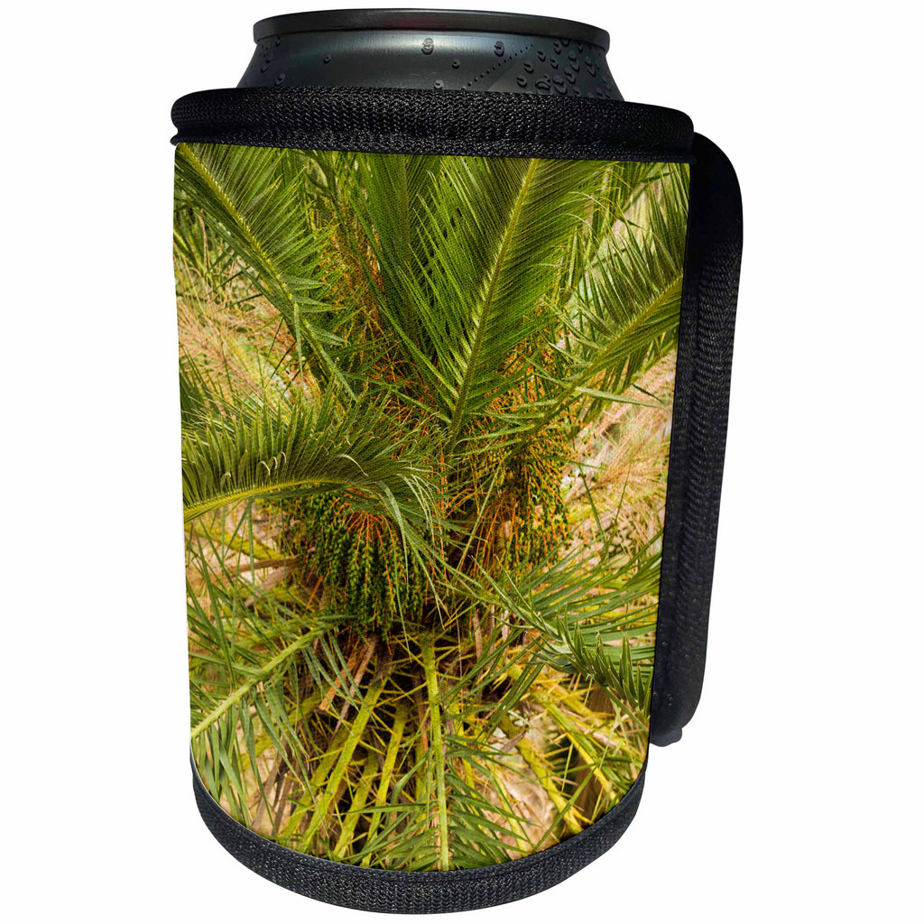 3dRose Danita Delimont - Trees - Spain, Canary Islands, La Gomera, Vallehermoso, palm tree detail - Can Cooler Bottle Wrap (cc_257882)