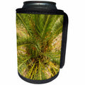 3dRose Danita Delimont - Trees - Spain, Canary Islands, La Gomera, Vallehermoso, palm tree detail - Can Cooler Bottle Wrap (cc_257882)