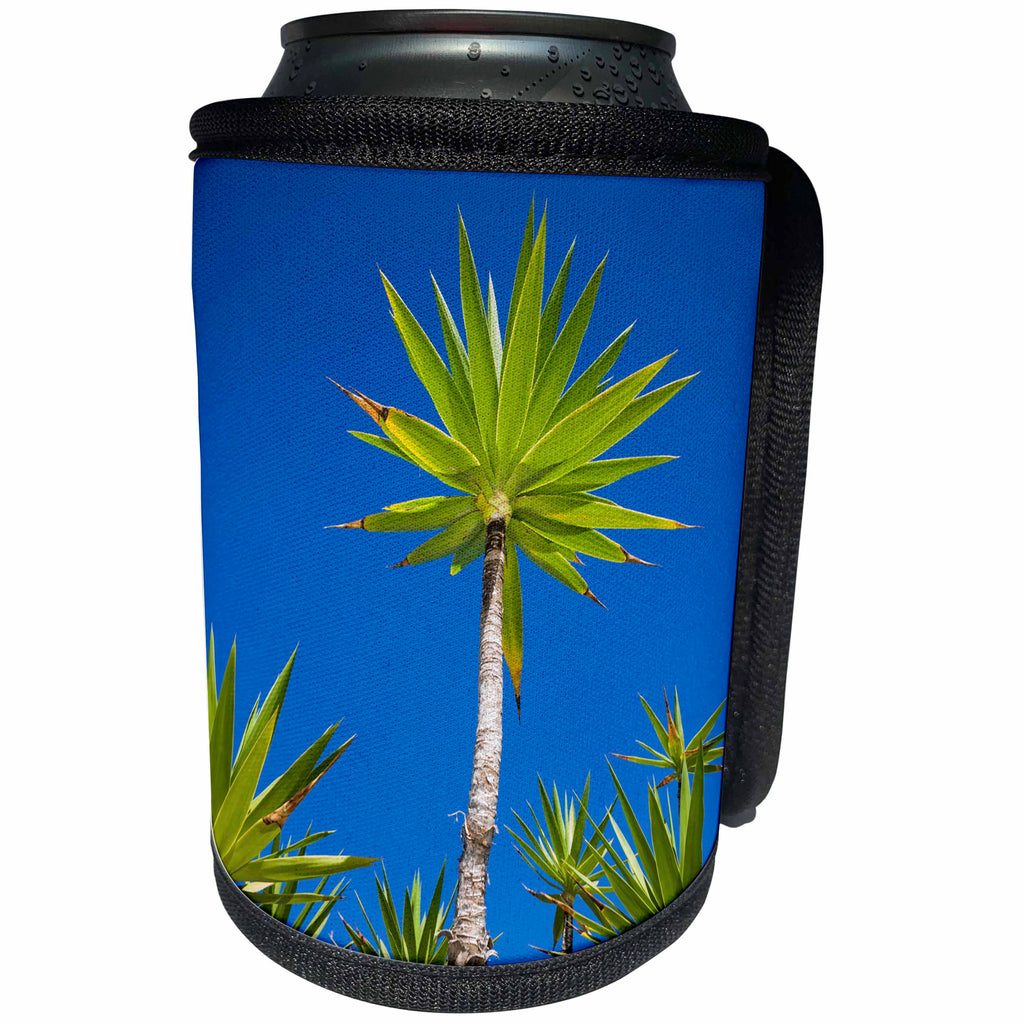 3dRose Danita Delimont - Trees - Spain, Canary Islands, Lanzarote, Tahiche, garden - Can Cooler Bottle Wrap (cc_257883)