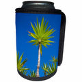 3dRose Danita Delimont - Trees - Spain, Canary Islands, Lanzarote, Tahiche, garden - Can Cooler Bottle Wrap (cc_257883)