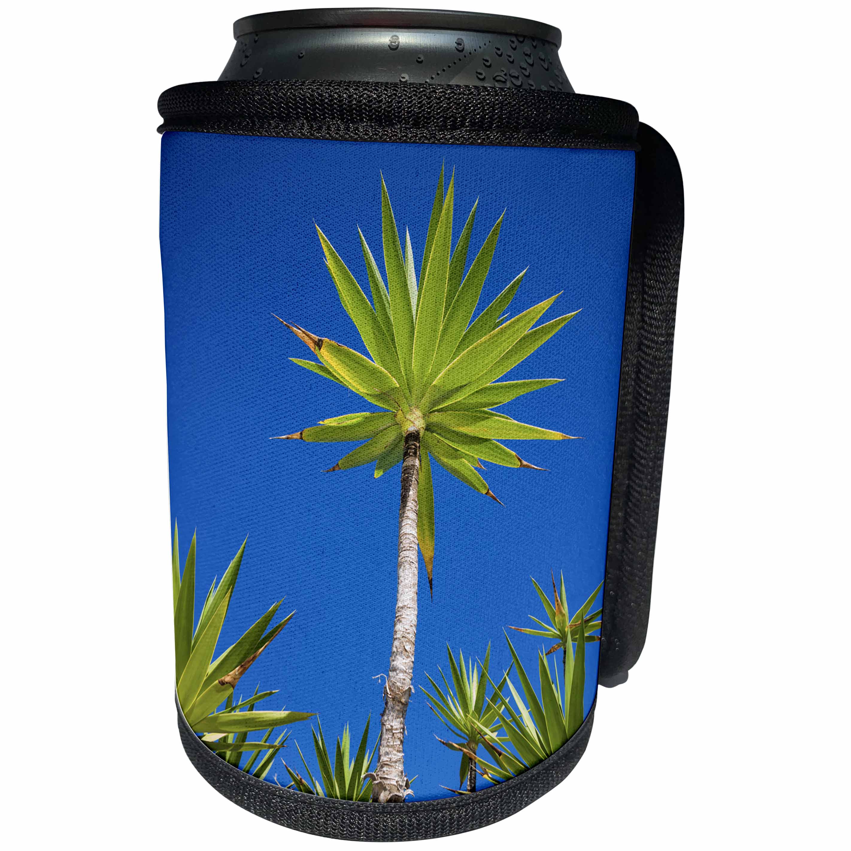 3dRose Danita Delimont - Trees - Spain, Canary Islands, Lanzarote, Tahiche, garden - Can Cooler Bottle Wrap (cc_257883)
