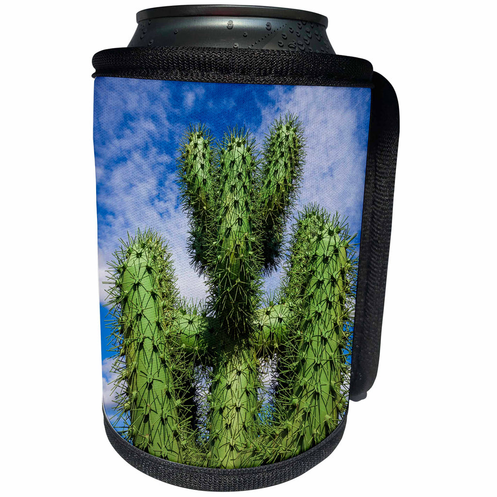 3dRose Danita Delimont - Cactus - Spain, Canary Islands, cactus - Can Cooler Bottle Wrap (cc_257885)