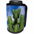3dRose Danita Delimont - Cactus - Spain, Canary Islands, cactus - Can Cooler Bottle Wrap (cc_257885)