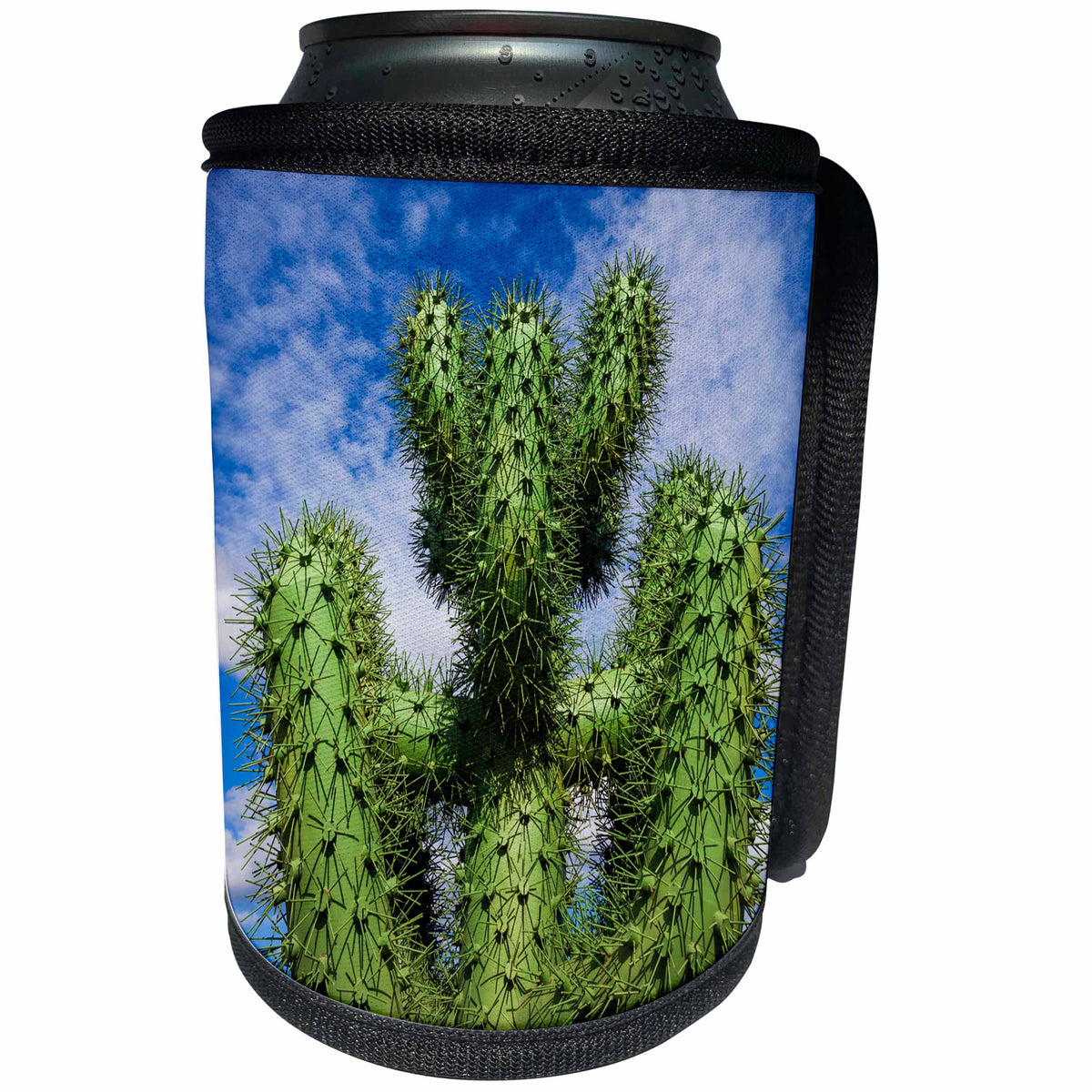 3dRose Danita Delimont - Cactus - Spain, Canary Islands, cactus - Can Cooler Bottle Wrap (cc_257885)