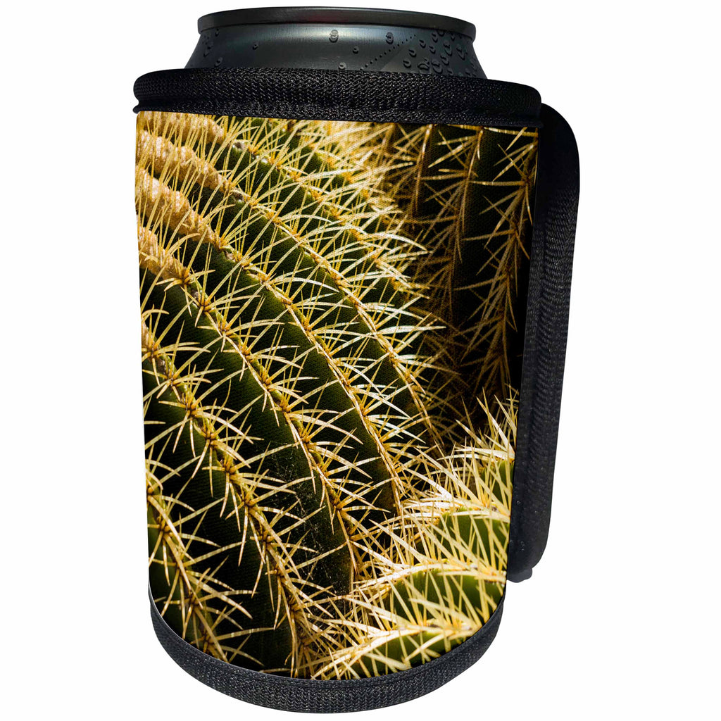 3dRose Danita Delimont - Cactus - Spain, Canary Islands, Guatiza, cactus plant detail - Can Cooler Bottle Wrap (cc_257886)