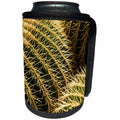 3dRose Danita Delimont - Cactus - Spain, Canary Islands, Guatiza, cactus plant detail - Can Cooler Bottle Wrap (cc_257886)