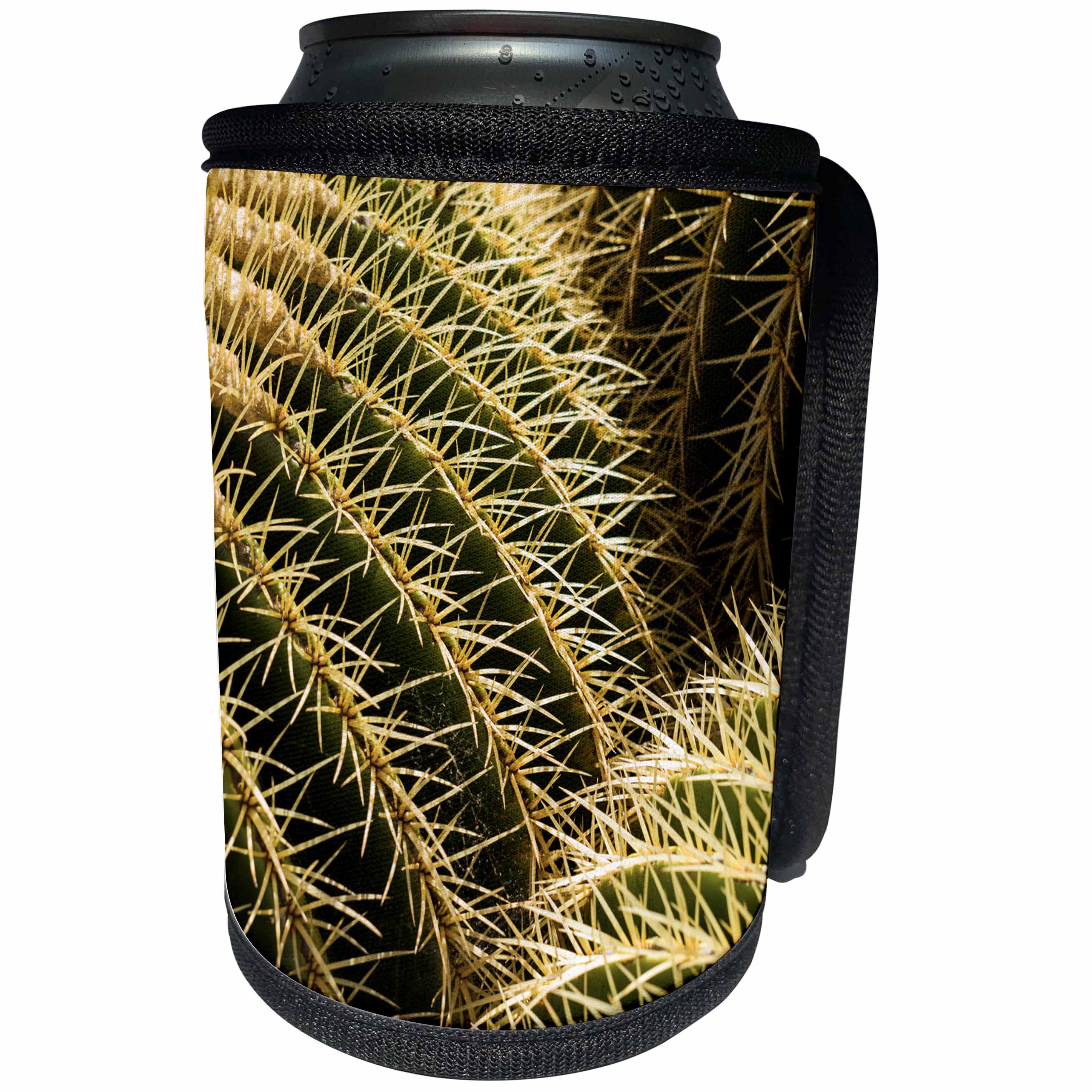 3dRose Danita Delimont - Cactus - Spain, Canary Islands, Guatiza, cactus plant detail - Can Cooler Bottle Wrap (cc_257886)