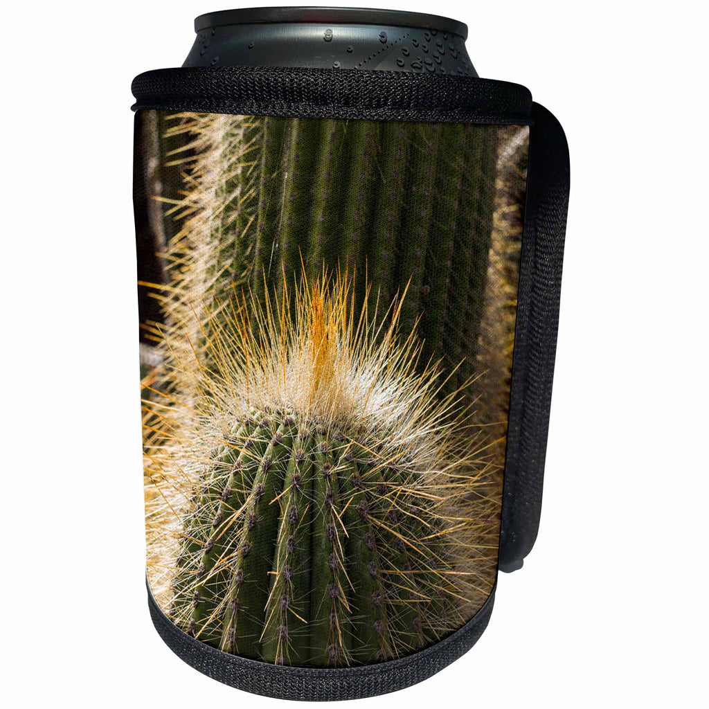 3dRose Danita Delimont - Cactus - Spain, Canary Islands, Lanzarote, Guatiza, Cactus - Can Cooler Bottle Wrap (cc_257887)