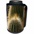 3dRose Danita Delimont - Cactus - Spain, Canary Islands, Lanzarote, Guatiza, Cactus - Can Cooler Bottle Wrap (cc_257887)