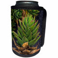 3dRose Danita Delimont - Cactus - Spain, Canary Islands, Lanzarote, Guatiza, spiky cactus - Can Cooler Bottle Wrap (cc_257889)