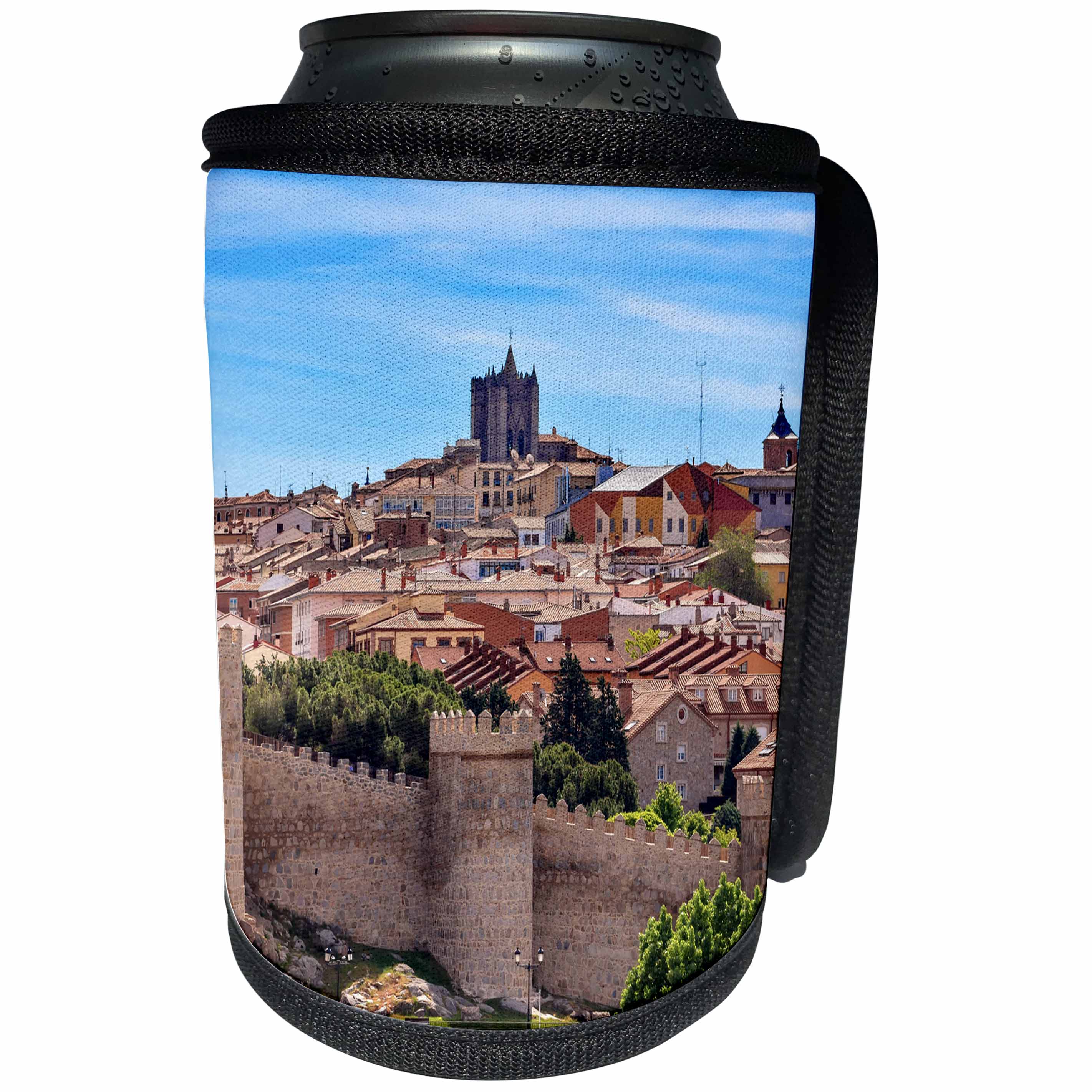 3dRose Danita Delimont - Cities - Looking out over the ancient medieval city of Avila, Castile, Spain. - Can Cooler Bottle Wrap (cc_257893)