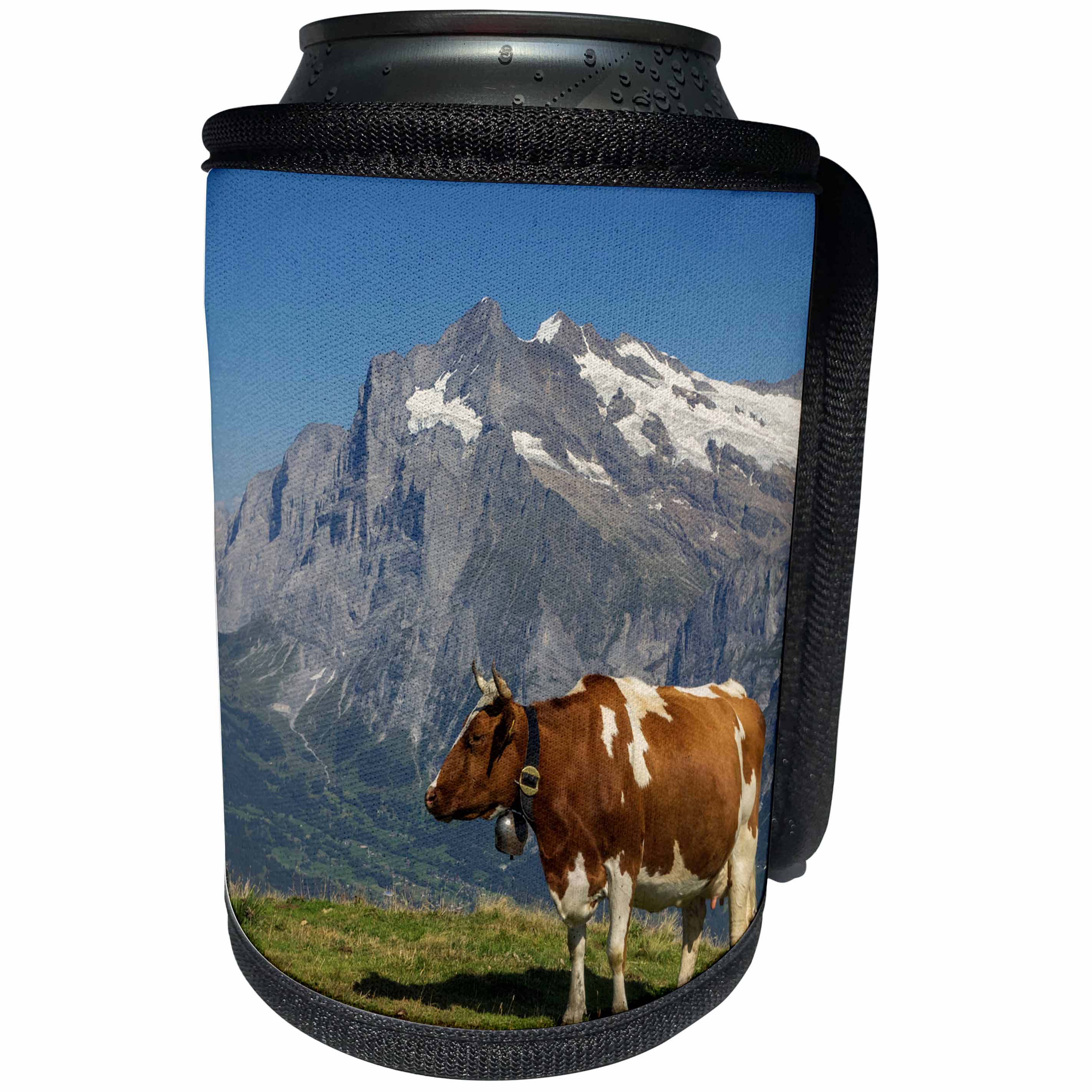 3dRose Danita Delimont - cattle - Switzerland, Bern Canton, Mannlichen, Swiss cow in alpine setting. - Can Cooler Bottle Wrap (cc_257904)