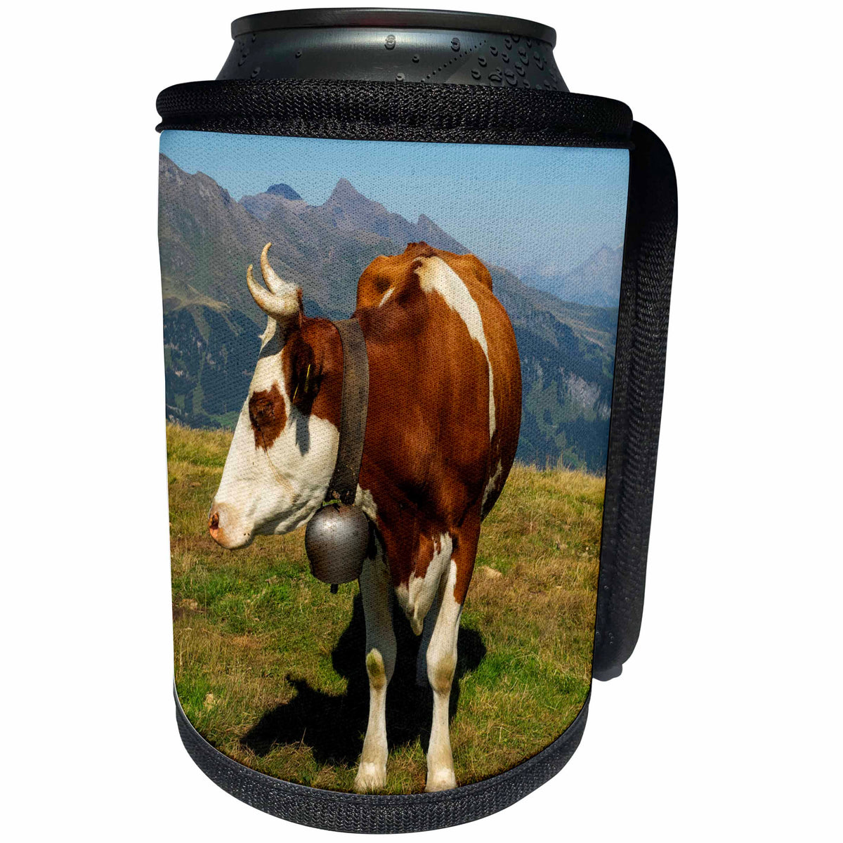 3dRose Danita Delimont - Cattle - Switzerland, Bern Canton, Mannlichen area, Swiss cow in alpine setting - Can Cooler Bottle Wrap (cc_257905)