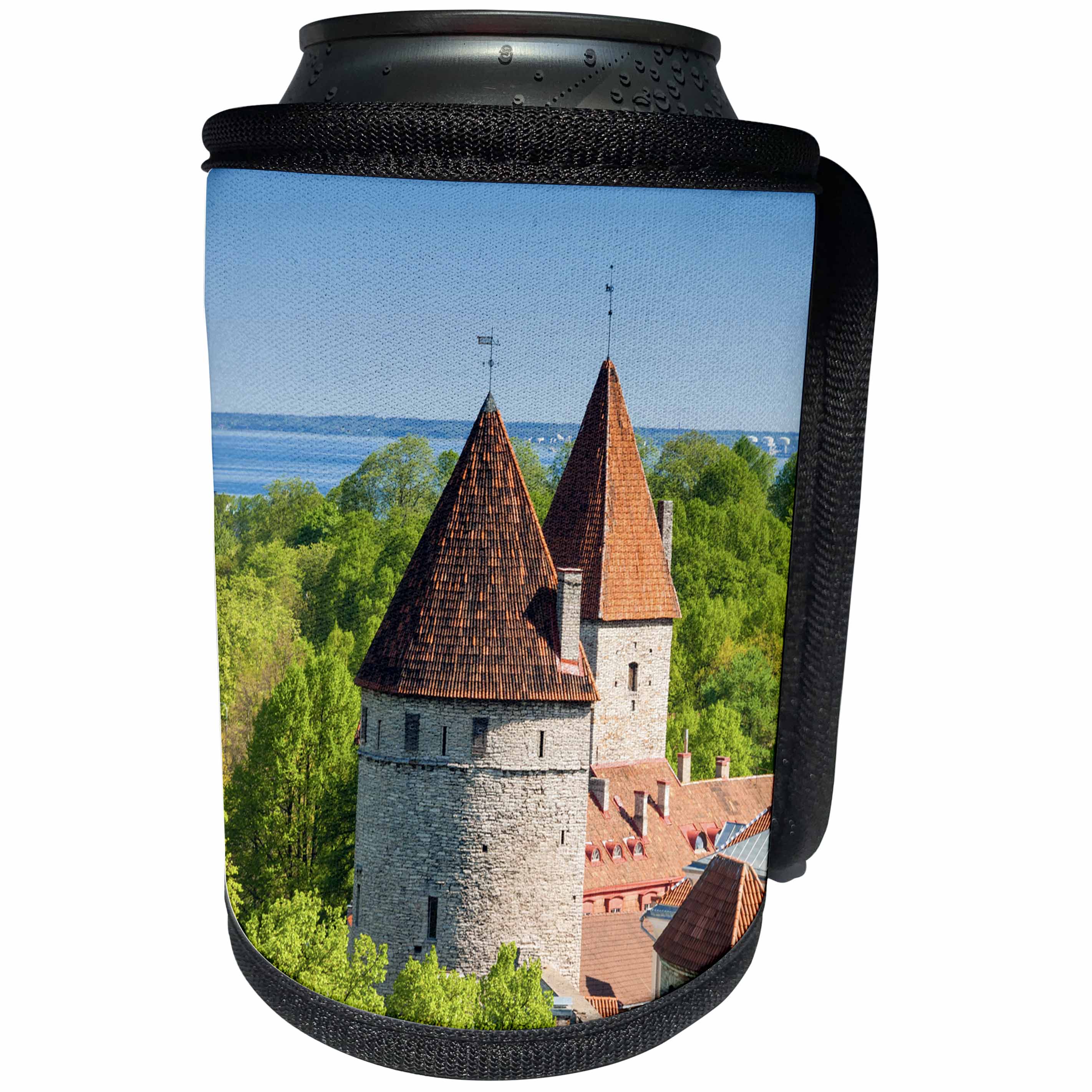 3dRose Danita Delimont - Architecture - Tallinn from Toompea hill, Old Town of Tallinn, UNESCO, Estonia - Can Cooler Bottle Wrap (cc_257914)