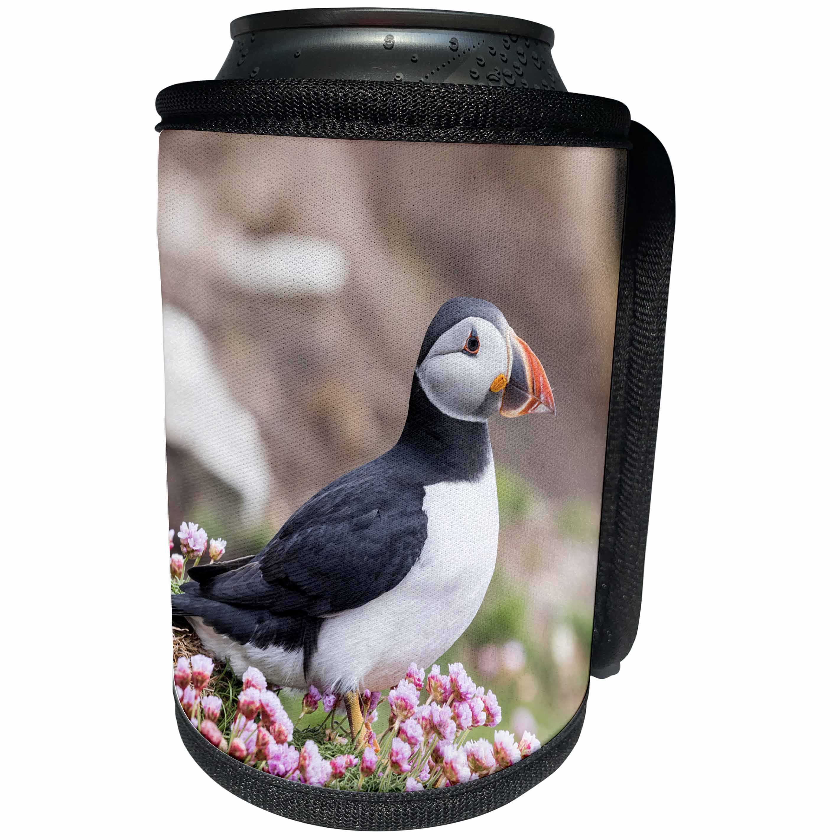 3dRose Danita Delimont - Puffins - Atlantic Puffin among wildflowers. Scotland, Shetland Islands - Can Cooler Bottle Wrap (cc_257929)