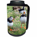 3dRose Danita Delimont - Puffins - Atlantic Puffins calling at each other. Scotland, Shetland Islands - Can Cooler Bottle Wrap (cc_257933)
