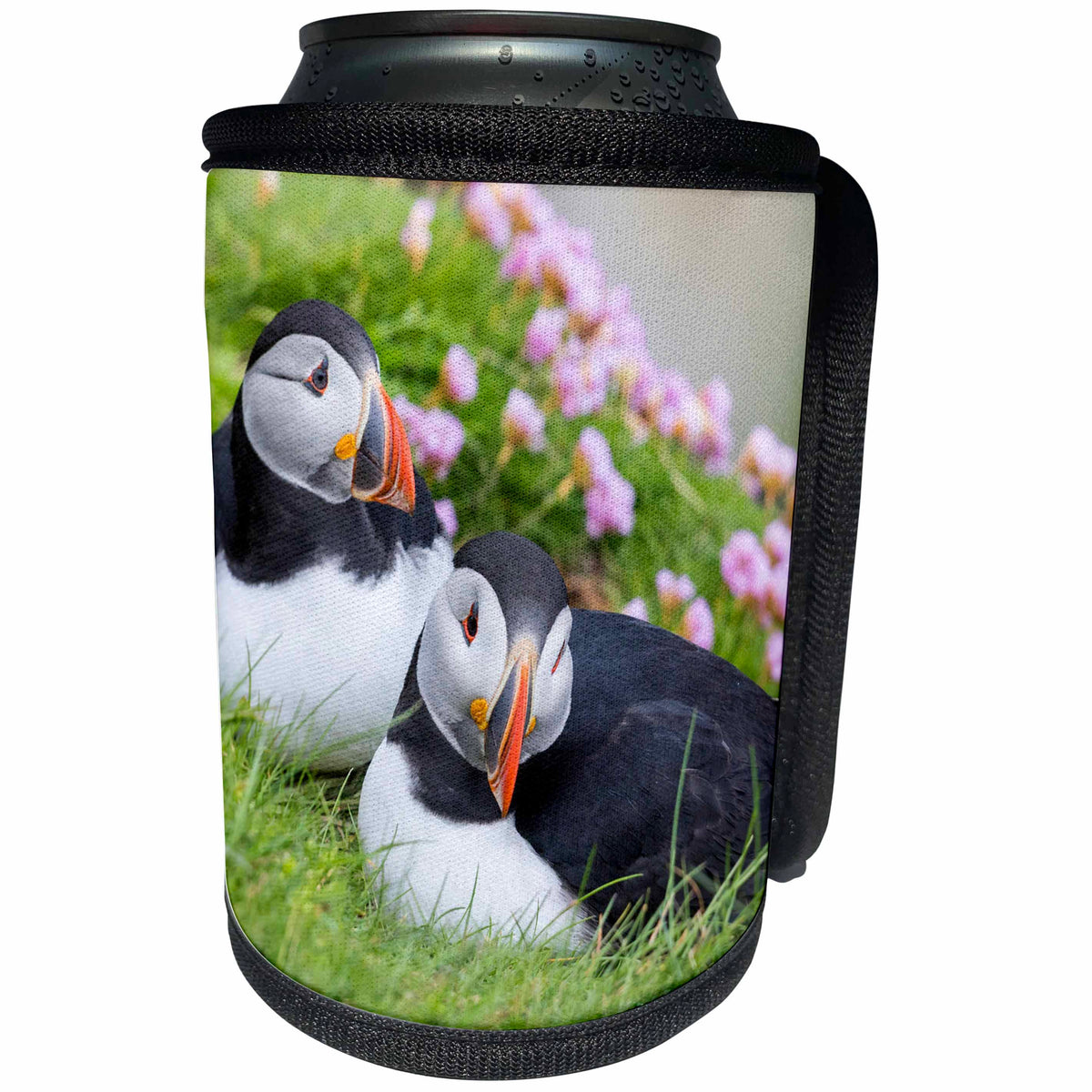 3dRose Danita Delimont - Puffins - Atlantic Puffin pair resting side by side. Scotland, Shetland Islands - Can Cooler Bottle Wrap (cc_257935)