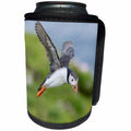 3dRose Danita Delimont - Puffins - Atlantic Puffin flying over the Shetland Islands, Scotland - Can Cooler Bottle Wrap (cc_257936)